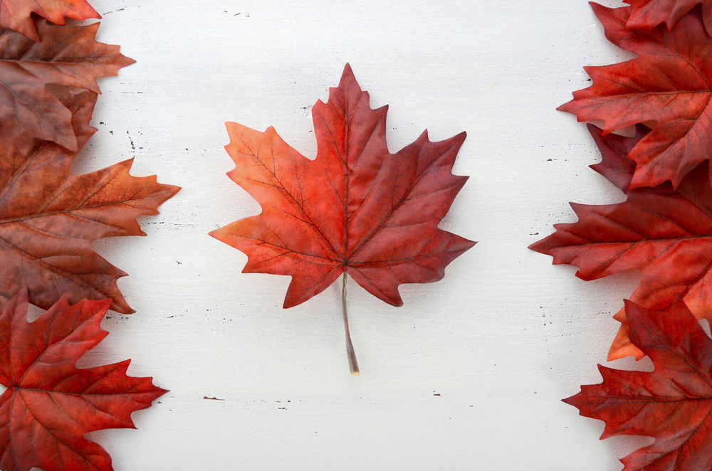Happy Canada Day From The MeloTel Team!