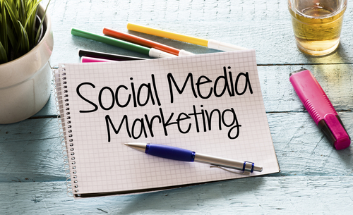How Can MeloTel Help To Grow Your Social Media Buzz?