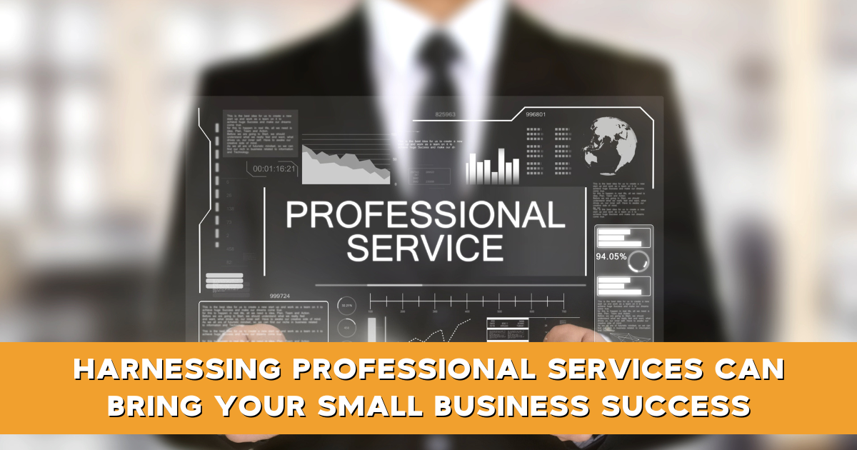 Harnessing Professional Services Can Bring Your Small Business Success